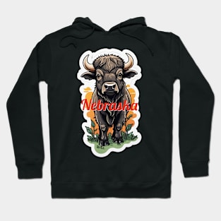 Nebraska Buffalo Hoodie